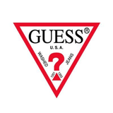 Guesslogo
